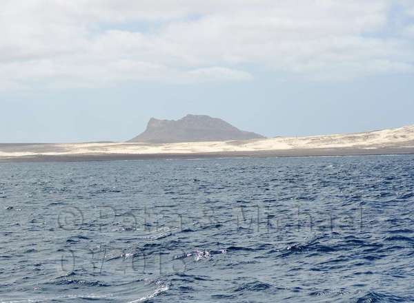 Boavista Whale-Watching