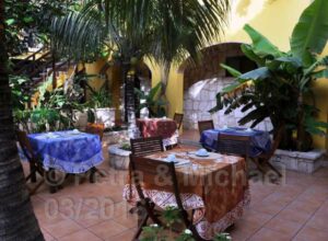 Orquidea Guesthouse / Praia do Estoril
