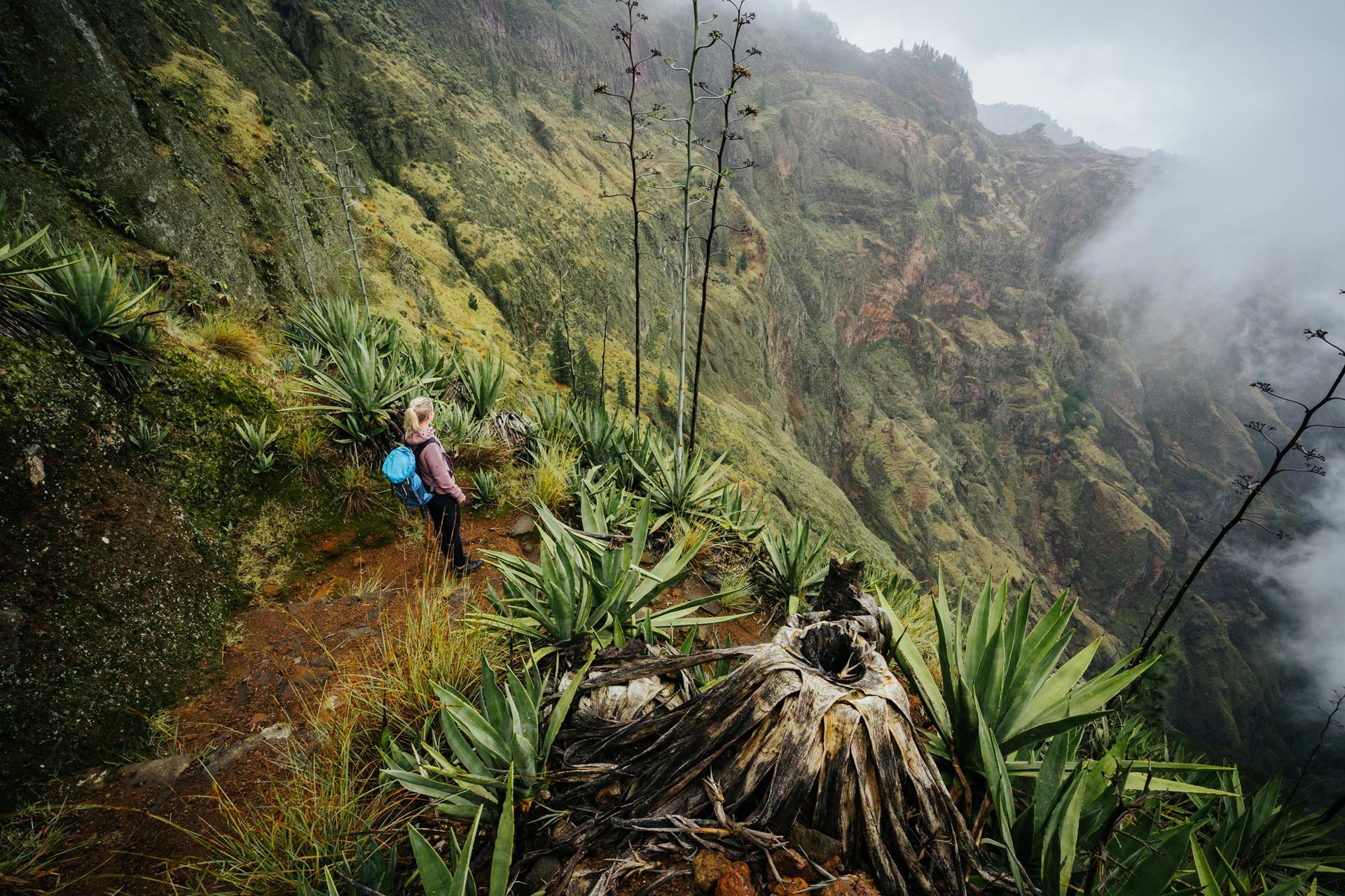 female-traveler-staying-cove-volcano-edge-foggy-green-valley-overgrown-with-agaves-santo-antao-island-cabo-verde-(1)