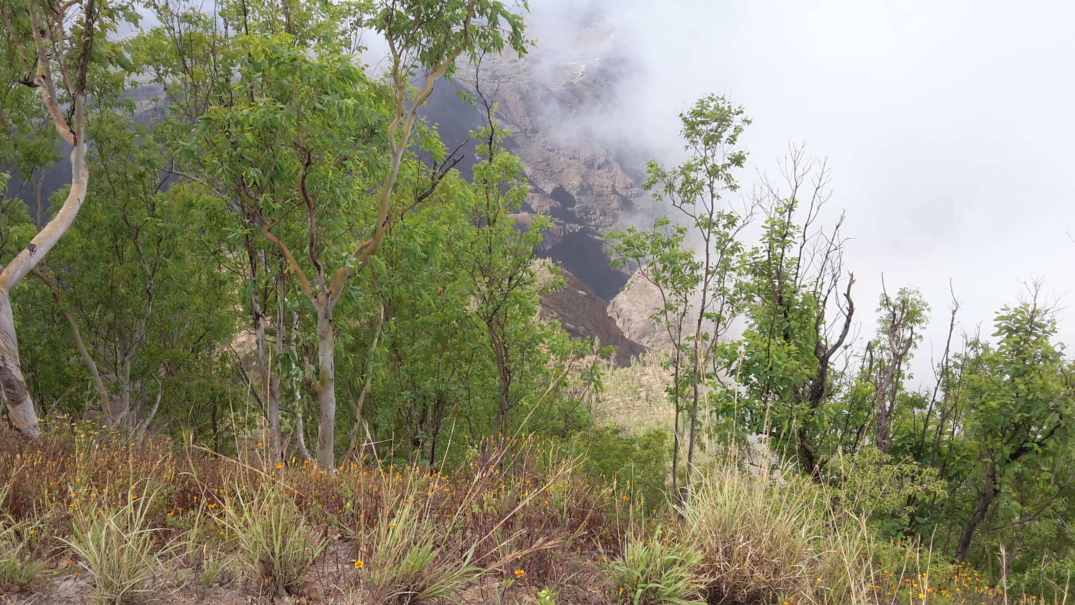 Nebel auf der Wanderung