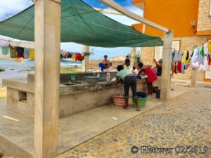 BVC.JPG