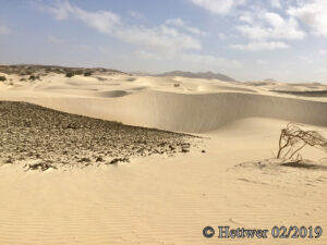 BVC-Sandduenen.JPG