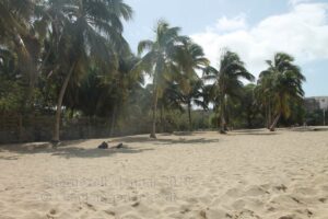 Palmenstrand von Tarrafal