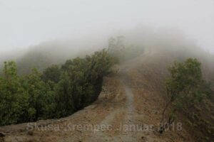 Weg im Nebel