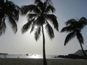 Am Palmenstrand von Tarrafal