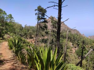 Erkundung des Monte Gordo