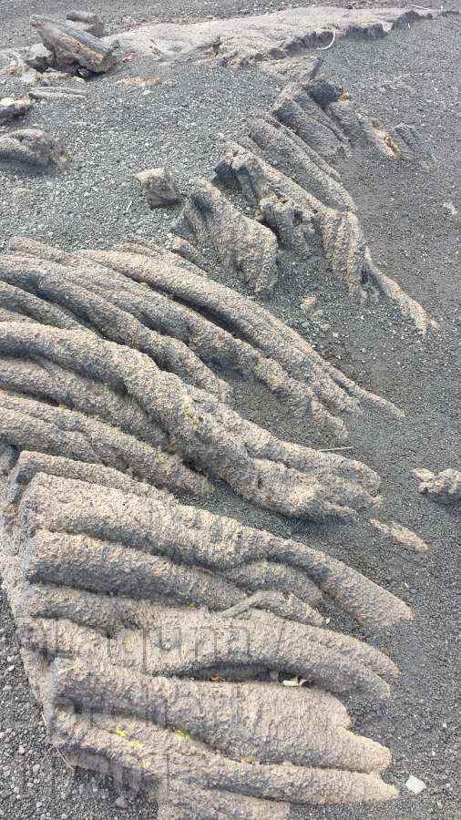 vermutlich Pico Piquenho