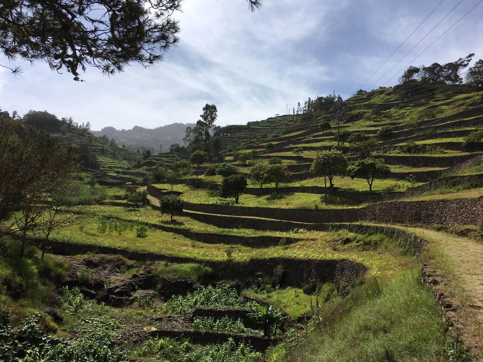 Angelegte Terrassen auf Santo Antão