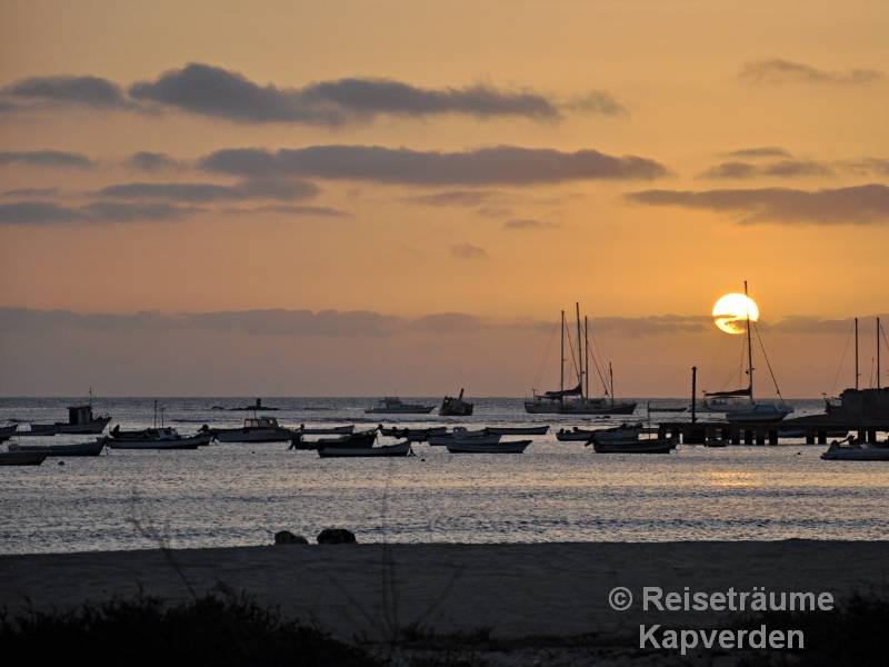Orquidea Sonnenuntergang
