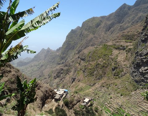 Ausblick ins Paultal