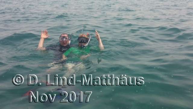 Schnorcheln vor Boa Vista
