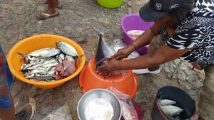 Frischer Fisch in Tarrafal (Santiago)