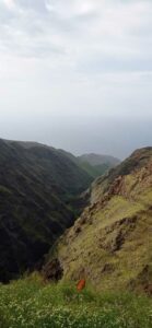 Schmetterling auf der Hochebene