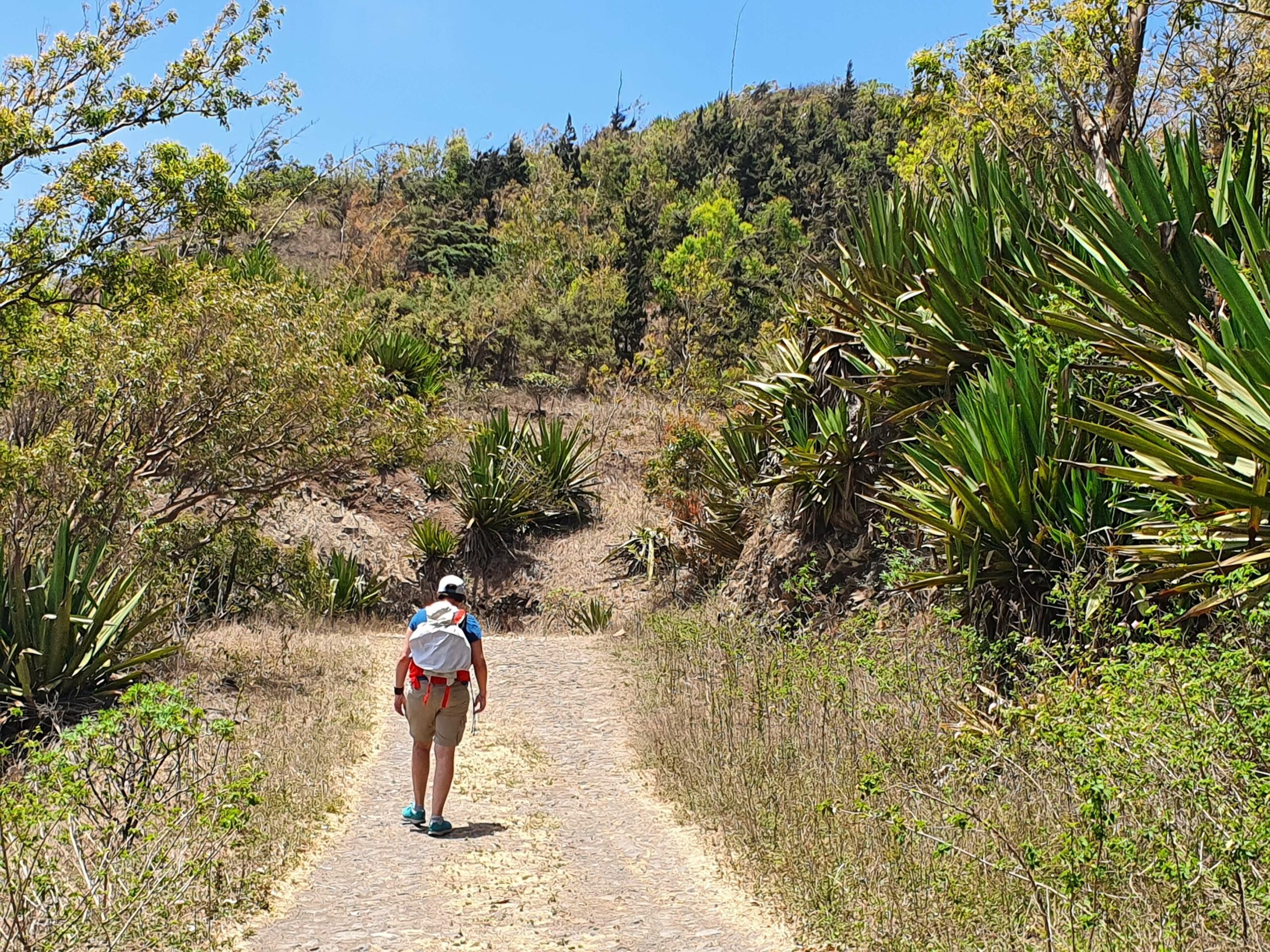 Spaziergang mit Kraxe auf Santiago