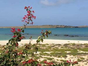Aussicht von der Dachterrasse auf die Ilhéu de Sal Rei