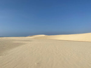 Atemberaubende Dünen am Strand von Santa Monica