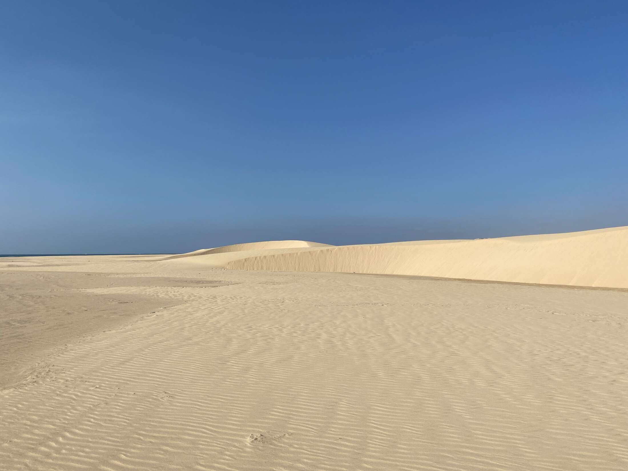Atemberaubende Dünen am Strand von Santa Monica