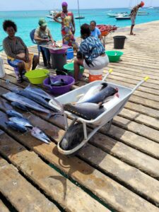 Frischer Fisch auf dem Pier von Santa Maria