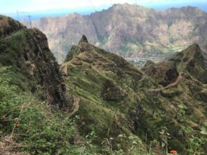 Grüne Flora auf den Kapverden