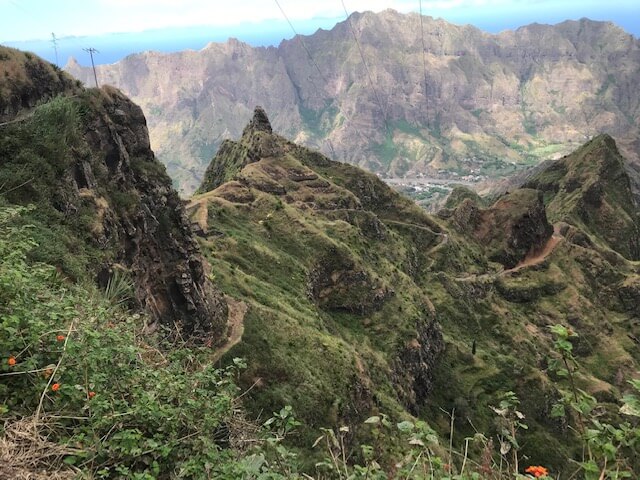Grüne Flora auf den Kapverden