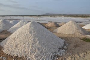 Lichtspiele in den Salinen