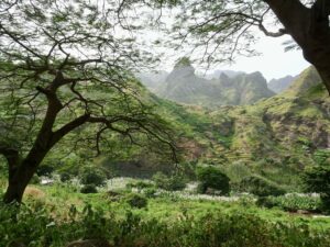 Grün soweit das Auge reicht auf Santo Antão