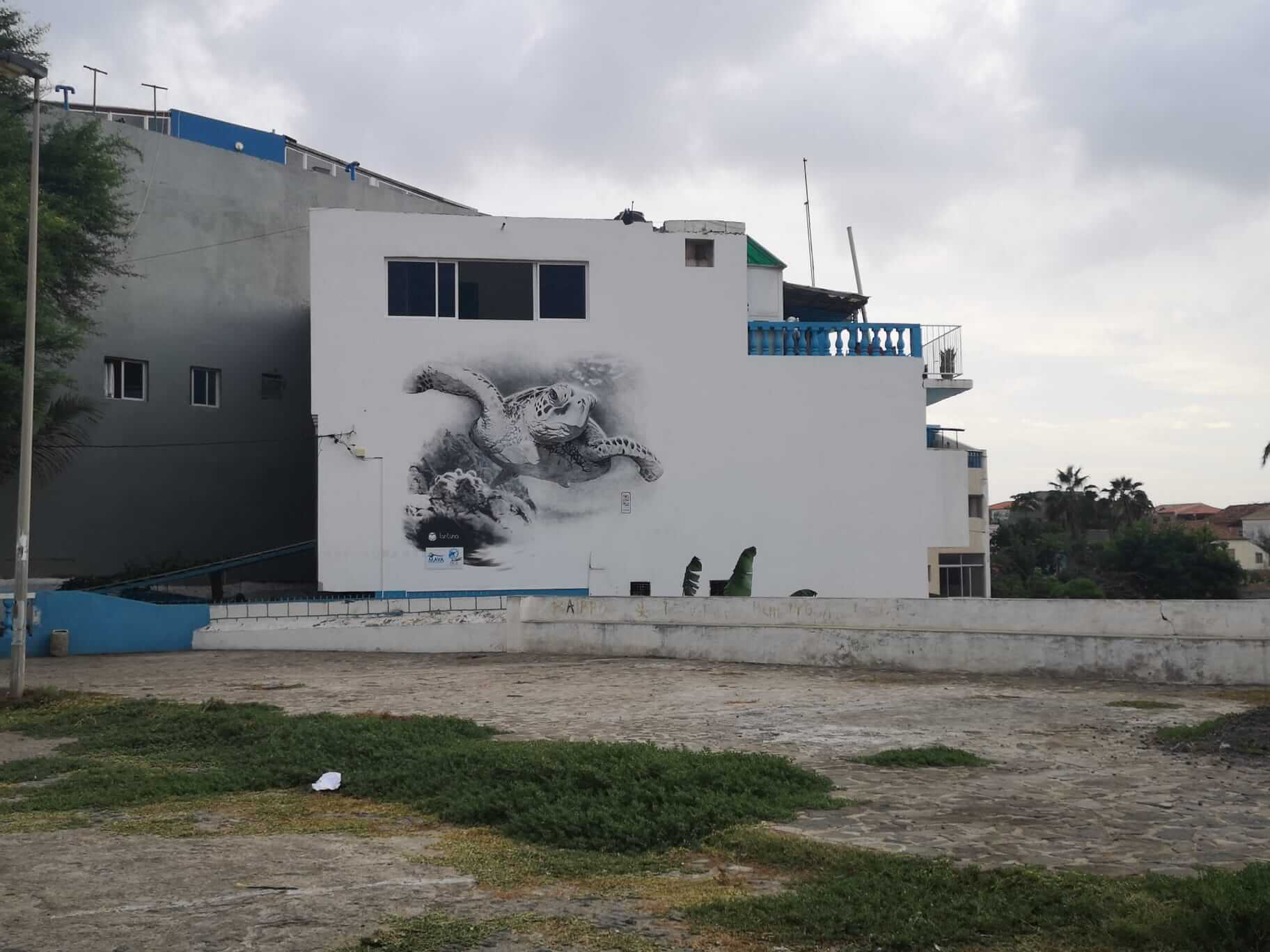 Streetart - Schildkröte